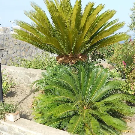 Vacanze Margherita Apartment